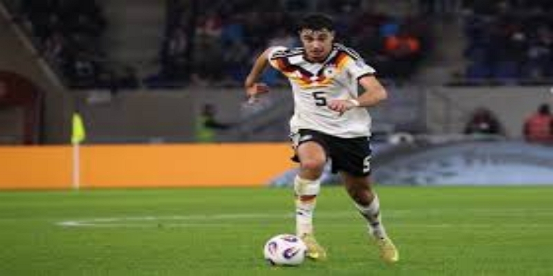 诺维奇城的引援需求与策略 -开元棋牌